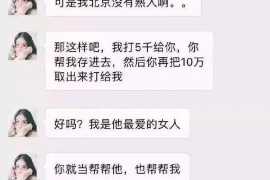 岐山岐山的要账公司在催收过程中的策略和技巧有哪些？